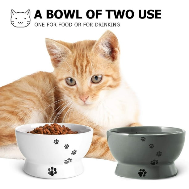 Cat water bowl walmart cheap