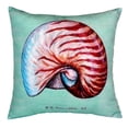 thumbnail image 2 of Betsy Drake NC118C 18 x 18 in. Nautilus Shell Teal No Cord Pillow, 2 of 3