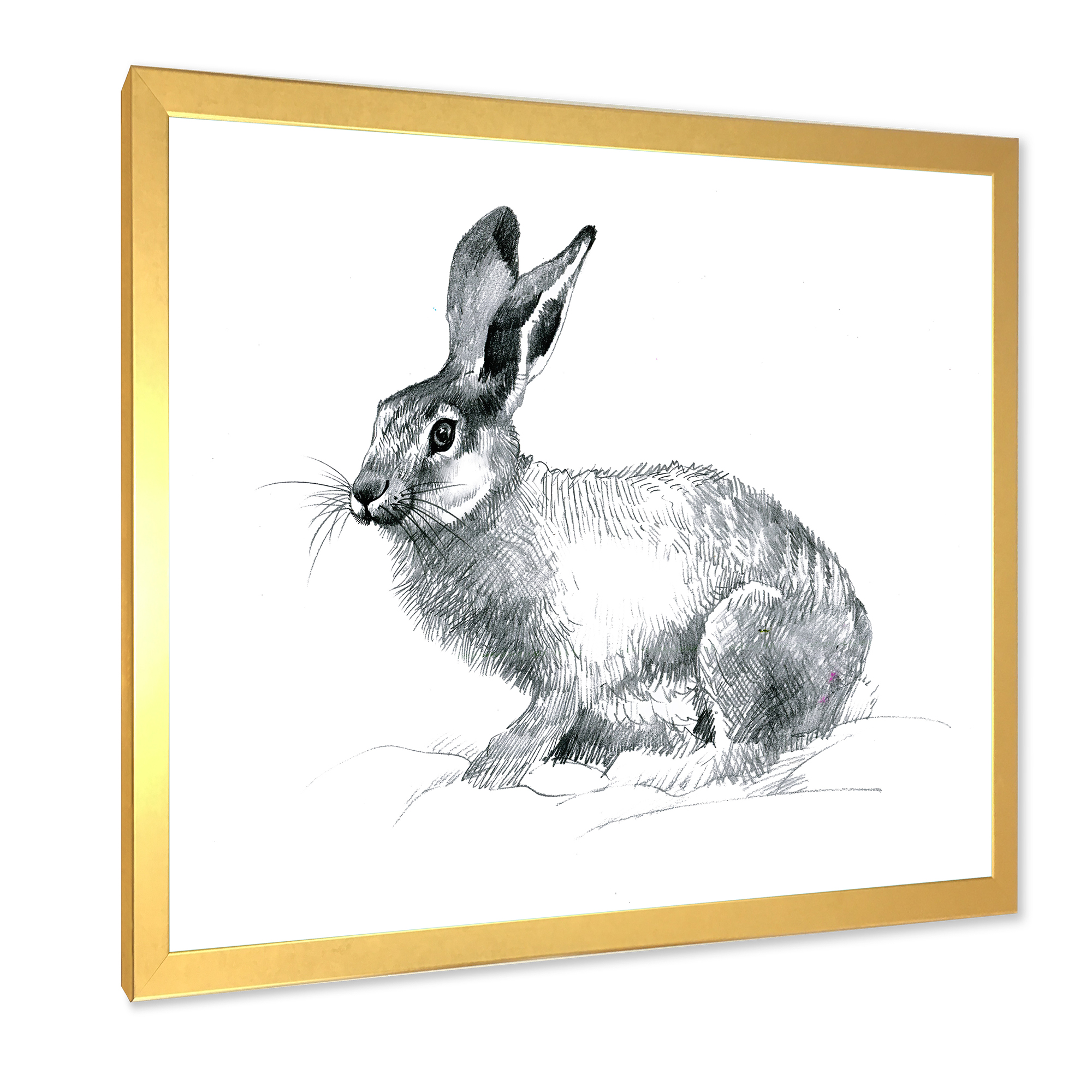 Designart 'Black and White Portrait Of Rabbit' Farmhouse Framed Art Print