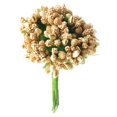 thumbnail image 2 of Estambre de flores pistilo 2xA Manojo de 12 Piezas de Pistilo de Estambre de Flores Artificiales para Casarse 8.5 Cm de Oro, 2 of 9