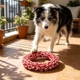 thumbnail image 4 of Yhmxh Puppy Teething Toys for Small Dogs, Cotton Puppy Dog Rope Toy for Small Dogs, Durable Dog Chew Toys for Aggressive Chewers, Interactive Pet Toy for Medium and Large Dogs, Keep Them Busy, 4 of 6