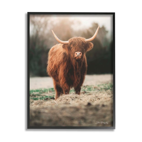 Stupell Rural Farm Pasture Cattle Animals & Insects Photography Black Framed Art Print Wall Art