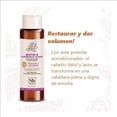thumbnail image 3 of Acondicionador Soapbox Biotin and Superfruit Restore & Volumize  473 ml, 3 of 4
