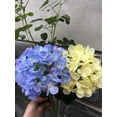 thumbnail image 4 of Silk Hydrangea Heads with Stems Artificial Flowers Heads for Home Wedding Decor,Pack of 10 (Sky Blue), 4 of 5