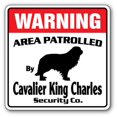 thumbnail image 1 of SignMission WD-CAVALIER KING CHARLES Cavalier King Charles Security Sign - Area Patrolled Guard Dog Purebred Pet Lover, 1 of 1