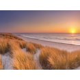 thumbnail image 2 of Winter 24x19 White Modern Wood Framed Museum Art Print Titled - Flowing Copper Beach Grass, 2 of 4