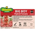thumbnail image 4 of (2 pack) Bonnie Plants Big Boy Tomato 19.3 oz., 4 of 11