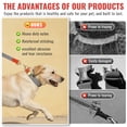 thumbnail image 5 of Qianruida Nylon Dog Collar and Leash Set Durable - Adjustable with a Secure Fastening, Comfortable and Long - lasting, Ideal for Walking, Training, and Outdoor Safety, Silver - gray, XL, 5 of 6