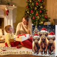 thumbnail image 4 of Calendario de Adviento 2024 Calendario de Adviento navideño de vacas de las Tierras Altas Calendario de cuenta regresiva de Adviento navideño de 24 días Regalo para niños, 4 of 5