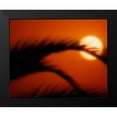 thumbnail image 2 of Larson, Scott 14x12 Black Modern Framed Museum Art Print Titled - Palm Sunset I, 2 of 5