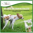 thumbnail image 2 of Total Biome Lawn Spot Repair Liquid, Dog Urine & Odor Neutralizer 100% Organic, 1 Liter, 2 of 5