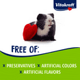 Vitakraft MiniPop Small Animal Treat 6oz