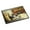 Border Collie Dog Litter, variant on Border Collie Dog Litter Doormat 18x27