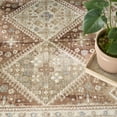 thumbnail image 6 of Nourison Pardis 4' x 6' Rust Vintage Indoor Rug, 6 of 8