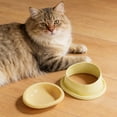 thumbnail image 6 of Pet Bowls Dog Bowls Cat Bowls Silicone Elevated Feeder 10 Degree Tilt Neck Protection Non Slip Whisker Friendly Food Water Bowl for Cats Dogs Indoor by PALIFEUR, 6 of 7