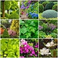 thumbnail image 4 of SimplyGro Tree & Shrub Fertilizer Spikes (12 Spikes - 3.0 Lbs), 4 of 5