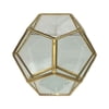 Lerman Decor Glass Terrarium