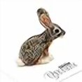 thumbnail image 3 of Little Critterz "Bounder" Jackrabbit LC109, 3 of 4