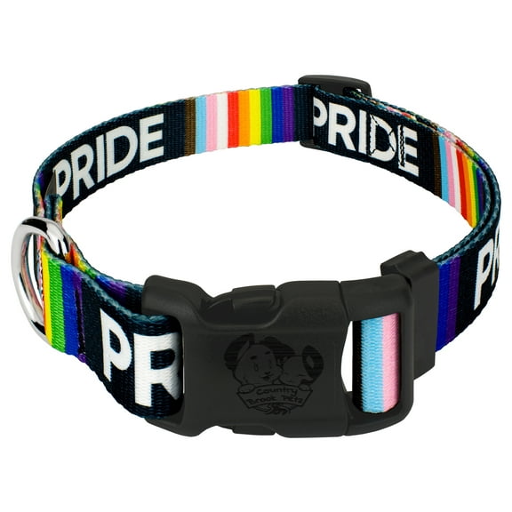Country Brook Petz - Deluxe Pride Dog Collar - Made in the U.S.A.