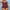Wine Red, variant on Charmo Ribbed Tankini Swimwear for Womens Side Adjustable Ruched Tummy Control Two Piece Swimsuits