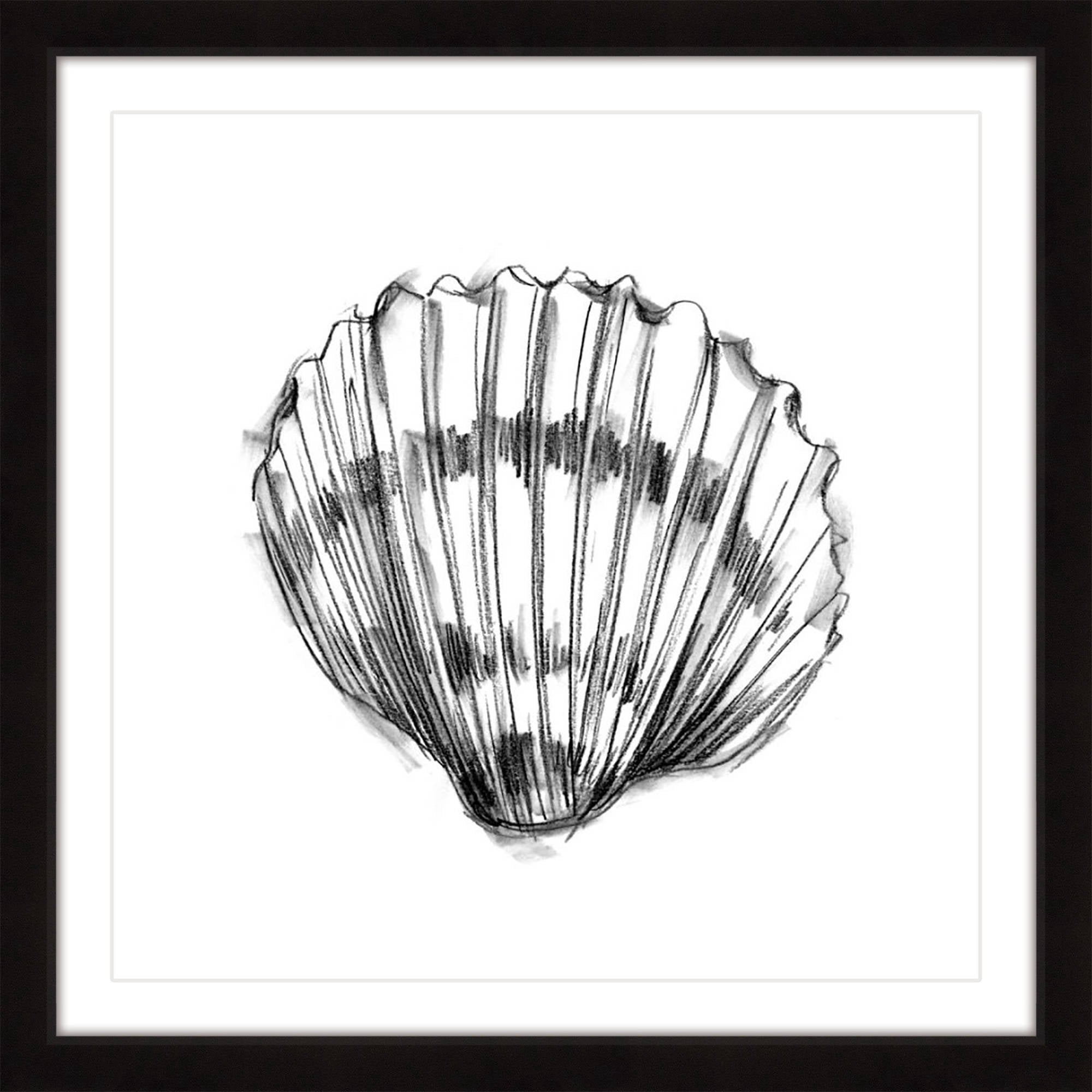 Marmont Hill "Shell Sketch VI" Framed Painting Print