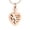Rose Golden, variant on Footprint Cremation Urn Pendant Urn Necklace for Ashes Heart Shape Stainless Steel Mini Urns Jewelry