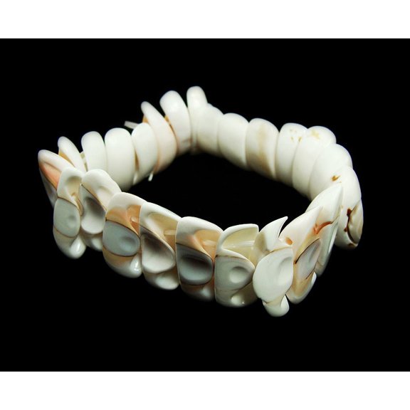 7 Inches Natural Shell Stretch Bracelet