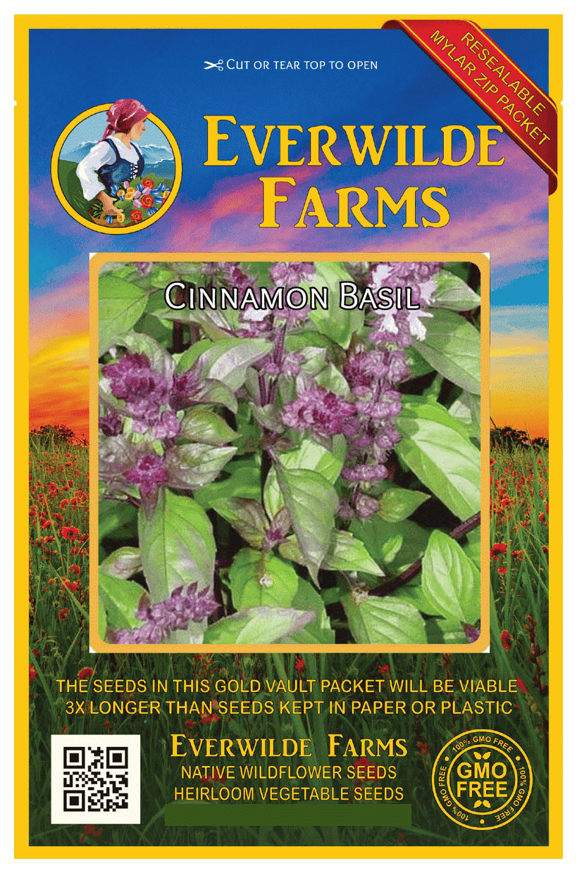 Details about   200 Cinnamon Basil Seeds Heirloom NON-GMO Free Shipping Fresh For Your Garden 