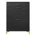 thumbnail image 4 of Shoe Cabinet with 2 Flip Drawers, Narrow Shoe Storage Cabinet, Shoe Rack Hidden for Entryway, Hallway, Living Room, Black, 4 of 6