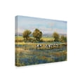 thumbnail image 2 of Trademark Fine Art 'Field of Cattle I' Canvas Art by Tim OToole, 2 of 4