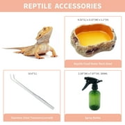 Reptile Terrariums 20 x 10x 8 for Insect,Fish,Tarantula,Hermit Crab,Jumping Spider