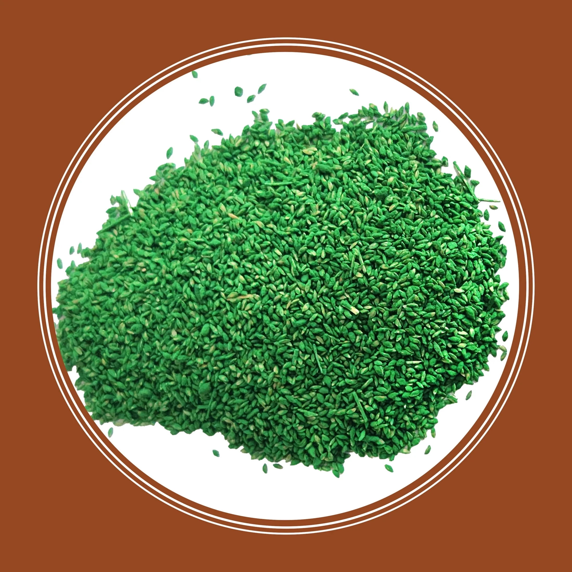 Pennington Sahara II Bermudagrass Penkoted Grass Seed 25 lb, Full Sun, Heat Tolerant