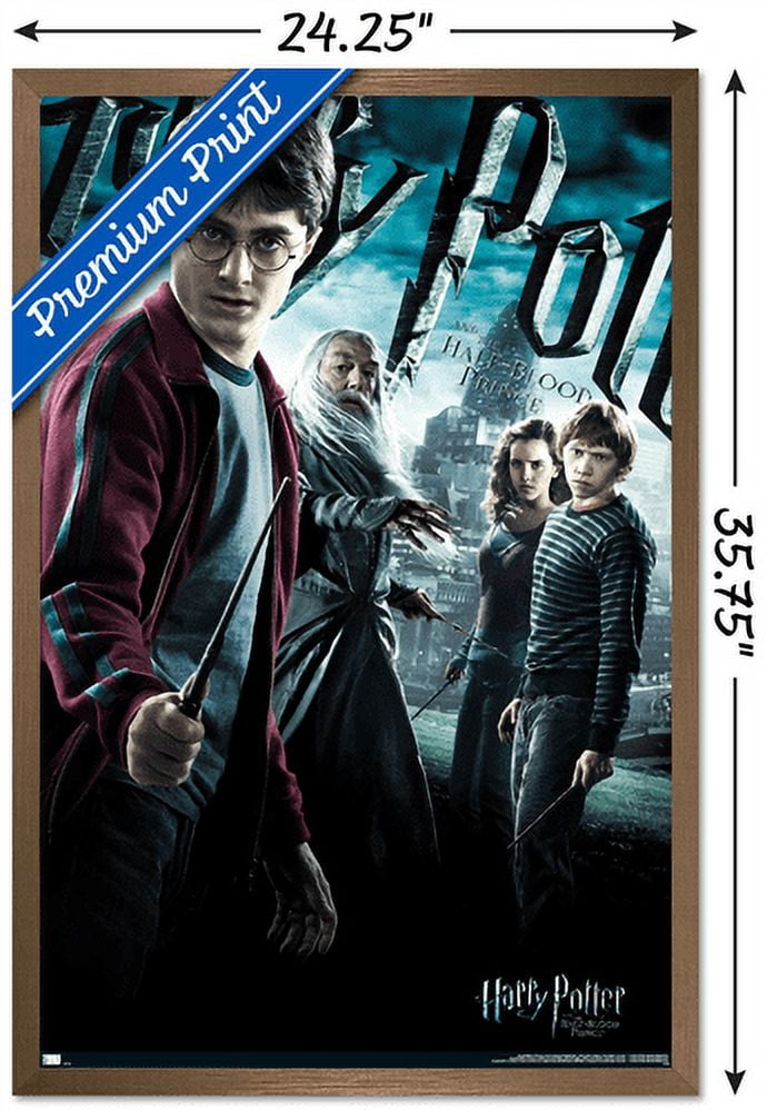 Harry Potter and the Half-Blood Prince - Group One Sheet Wall Poster, 22.375" x 34", Framed