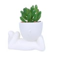 thumbnail image 1 of Succulent Potted Ceramic Flowerpot for Home and Desk Decoration Plastic Material, 1 of 6