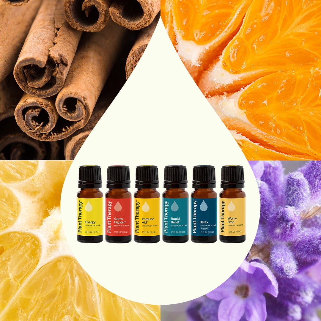 Plant Therapy Essential Oil Blends Set, Top 6 Most Popular, 100% Pure, Undiluted, Natural Aromatherapy 10 mL ea