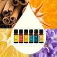 thumbnail image 3 of Plant Therapy Essential Oil Blends Set, Top 6 Most Popular, 100% Pure, Undiluted, Natural Aromatherapy 10 mL ea, 3 of 8