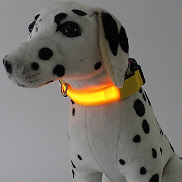 Collar LED para perro, recargable por USB, con correa de nailon suave y luminoso, ideal para perros pequeños y medianos. Cama cálida.