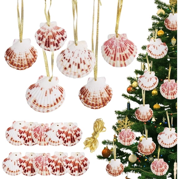 SINKOO 15PCS Christmas Seashells Beach Ornaments, 2"-3" Hanging Scallop Shells for Decorating, Natural Beach Decorations for Home DIY Decor Wreath(Golden Thread)