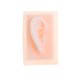 thumbnail image 2 of 2 Piezas 1: 1 Modelo De Oreja De Acupuntura De Derechos s De Silicona, Suministros Para El Aula Escolar Para Recursos De Aprendizaje Sunnimix Estatua de acupuntura de oído humano, 2 of 6