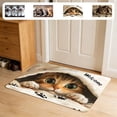 thumbnail image 7 of Todaioua Tabby Cat Welcome Doormat 16x24 Inch,Cute Cat Paw Print Welcome Mat,Faux Coco Coir Durable Doormat with Non-Slip PVC Backing for Outdoor Indoor Entrance Porch Home Decor,Gifts for Pet Lovers, 7 of 7