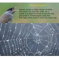 thumbnail image 2 of CollidEscape Bird Tape to Prevent Bird Strikes on Windows, 2 of 4