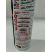 TS2 High Performance Touchless Tire Shine by FW1 Fast Wax