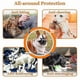 thumbnail image 5 of Pet Dog Muzzles Adjustable Breathable Dog Mouth Cover Anti Bark Bite Mesh Dogs Mouth Muzzle Mask, 5 of 5