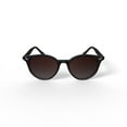 thumbnail image 6 of Ray-Ban RB4305 Sunglasses, 6 of 6