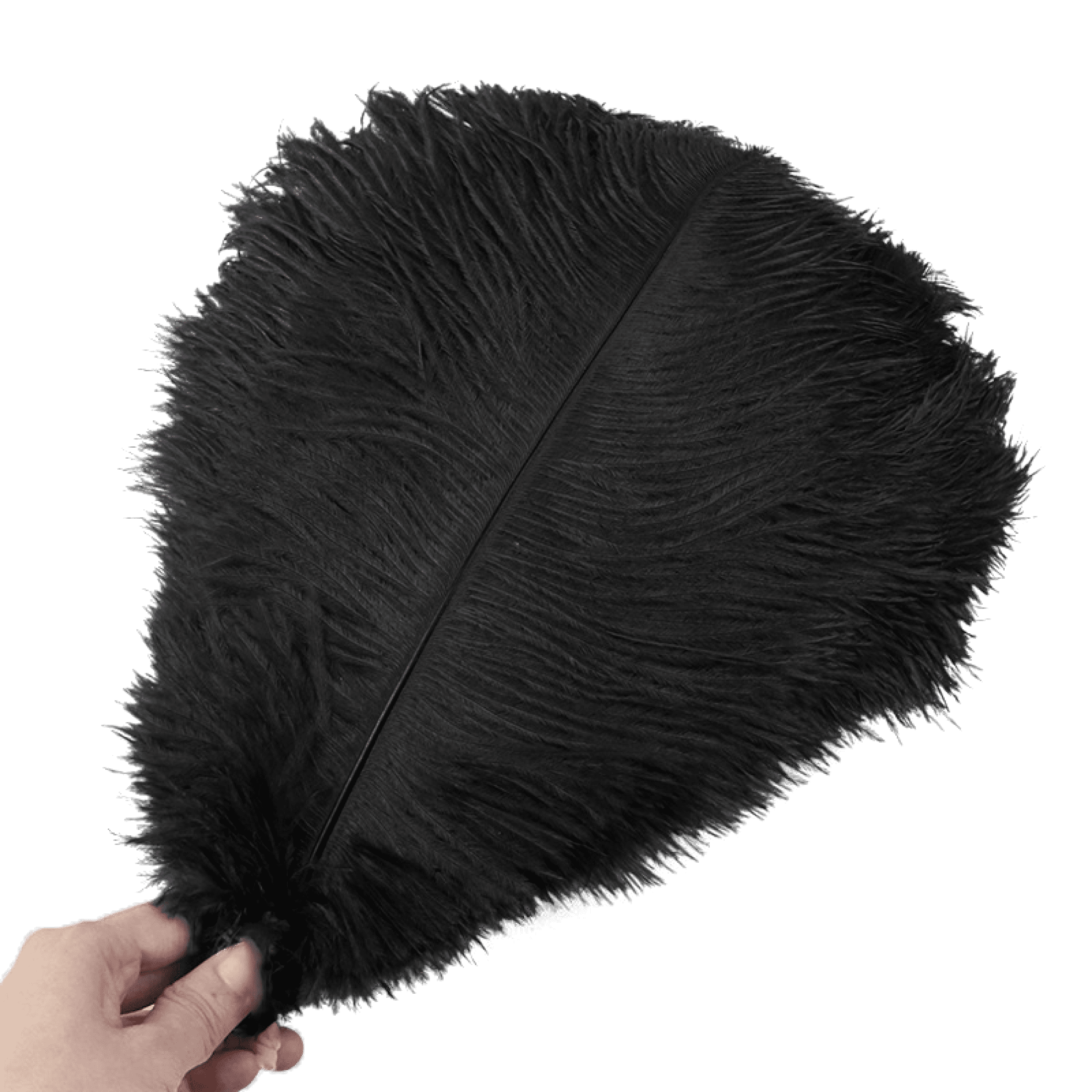 EUBUY 10Pcs Colorful Natural Ostrich Feathers Party Carnaval Wedding  Accessories for Jewelry Making Plume Crafts Vase DIY Dream Catcher  Decorations Black 