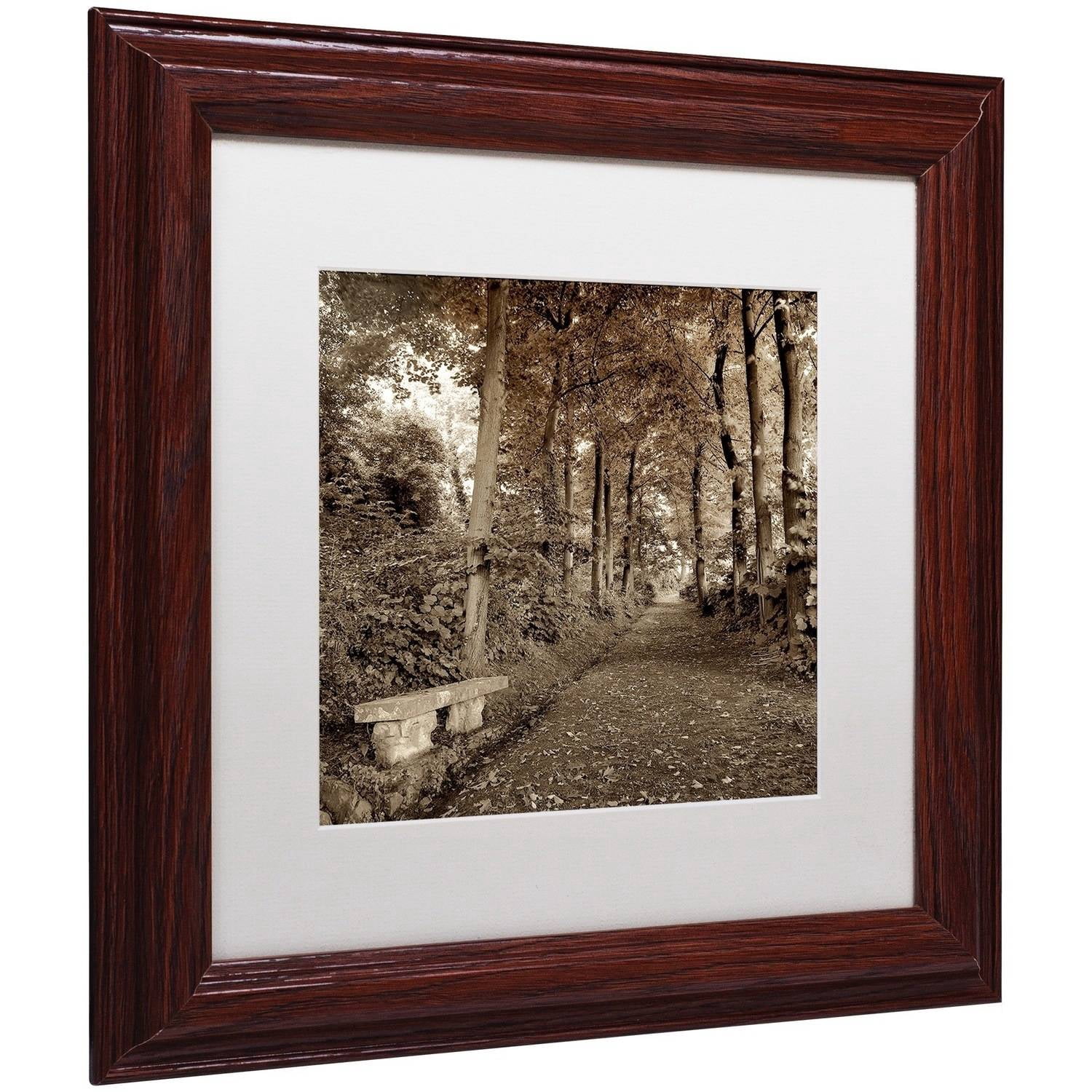 Trademark Fine Art "Fiesole Giardini II" Canvas Art by Alan Blaustein, White Matte, Wood Frame
