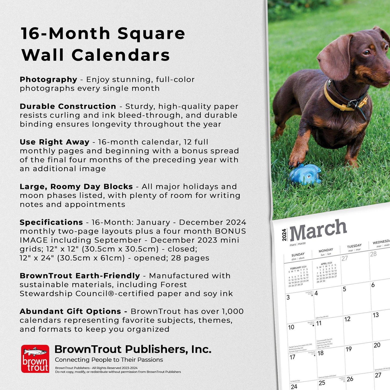 BrownTrout Dachshunds 2024 12x24 Inch Square Wall Calendar, 9781975462550