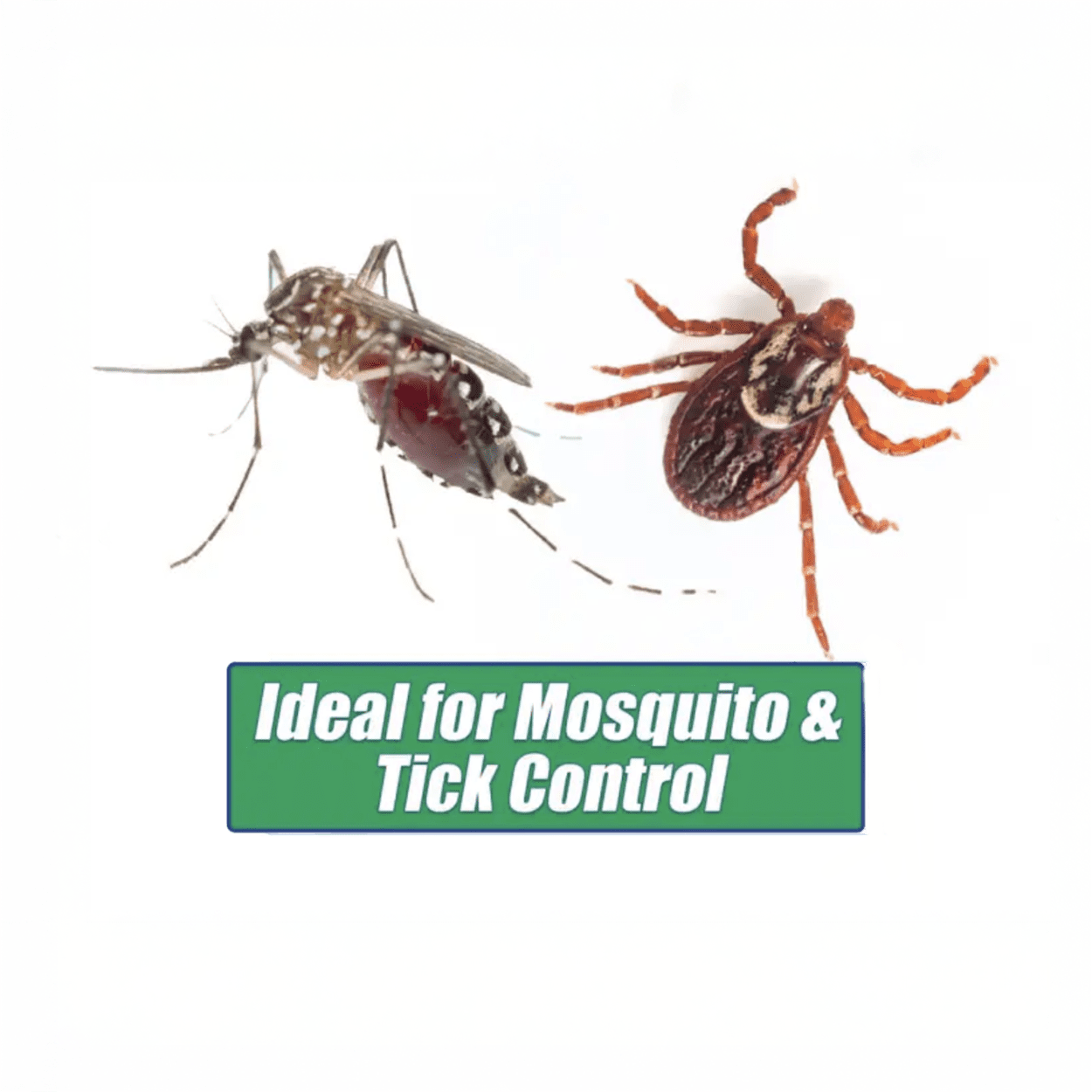 EcoVia G Granular Insecticide - 10 lb Bag by Rockwell Labs