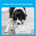 thumbnail image 3 of Premier Pet 100 oz. Pet Fountain- Dog - Automatic Water Fountain for Dogs and Cats, 3 of 12