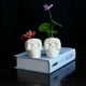 thumbnail image 1 of Jardinero de cerámica ARTIFICIAL perfecl cabeza de CRÁNEO decoración Halloween, 1 of 8